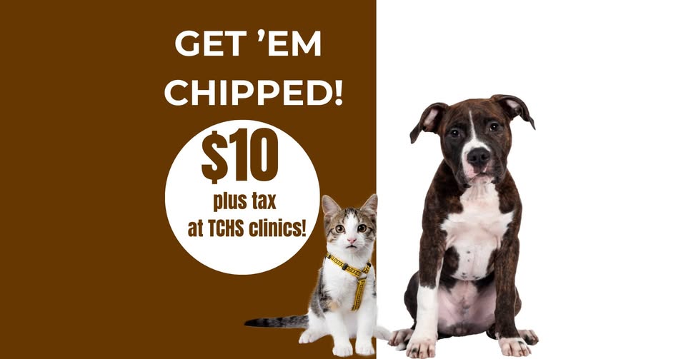 Low Cost Community Microchip Clinic
